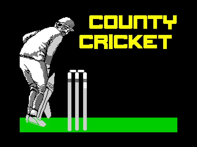 County Cricket image, screenshot or loading screen