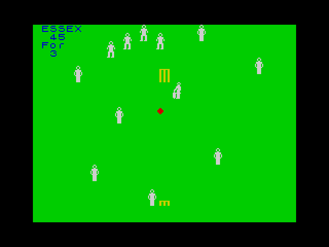Cricket image, screenshot or loading screen