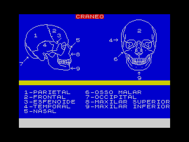 Esqueleto Humano image, screenshot or loading screen