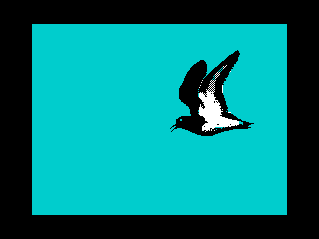 The Bird image, screenshot or loading screen