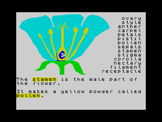 The Structure of the Flower image, screenshot or loading screen