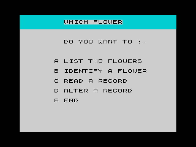 Which Flower? image, screenshot or loading screen