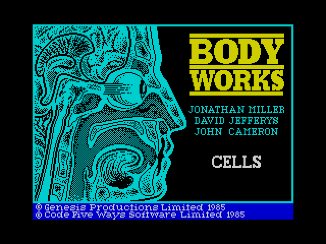 Body Works image, screenshot or loading screen