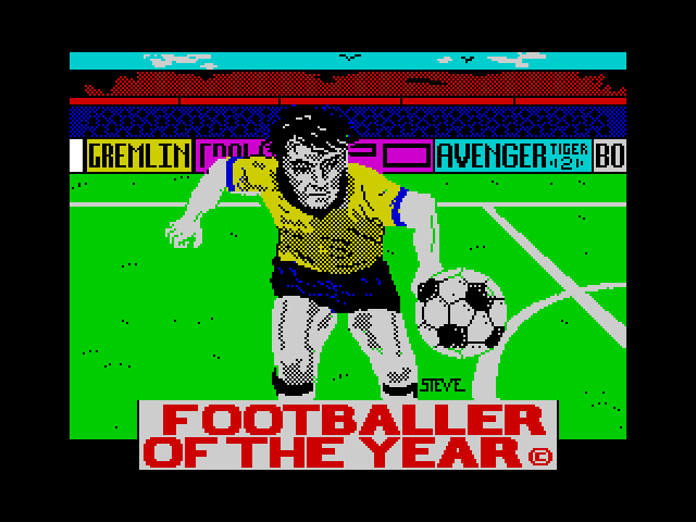 Footballer of the Year image, screenshot or loading screen