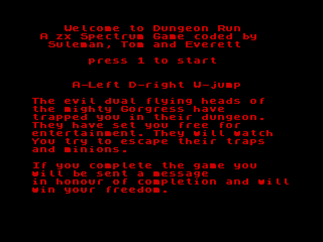 Dungeon Run image, screenshot or loading screen