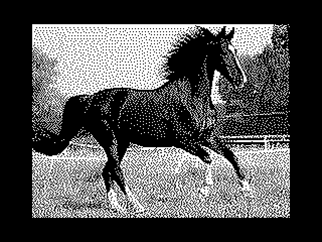Horses image, screenshot or loading screen